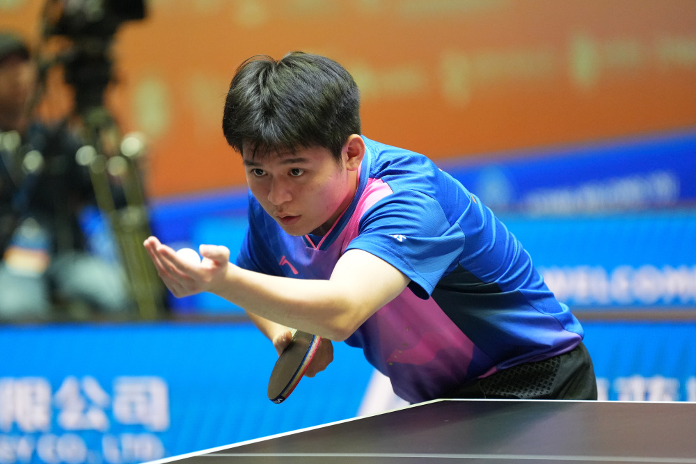 训练周期内 训练周期内